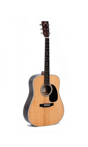 Sigma DT-1STE