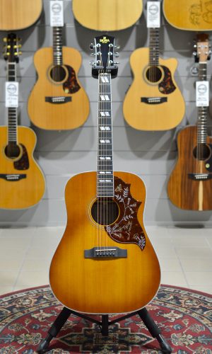 Sigma DM SG5