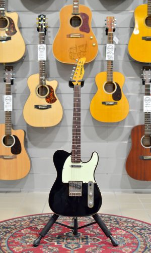 Fernandes TE  W/Fender Custom Shop Pickup
